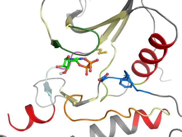 The orthosteric binding pocket