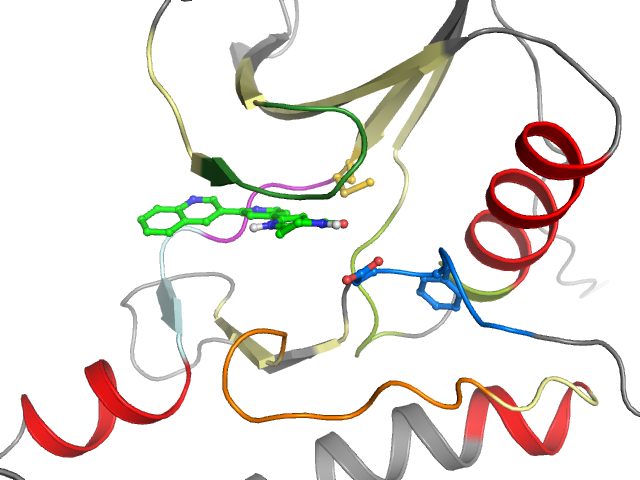 The orthosteric binding pocket