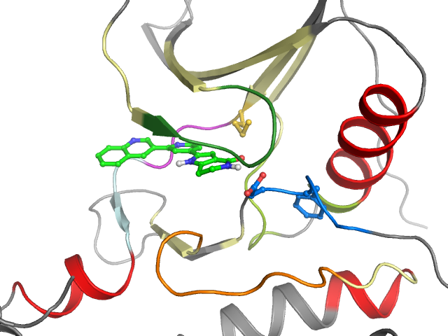 The orthosteric binding pocket