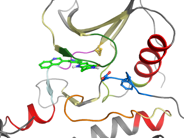 The orthosteric binding pocket