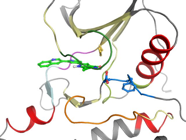 The orthosteric binding pocket
