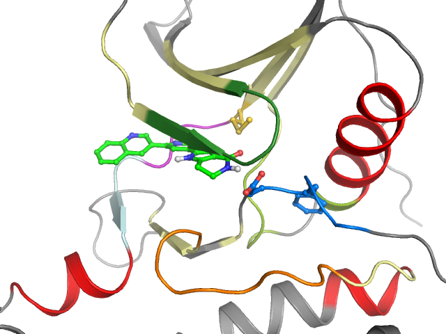 The orthosteric binding pocket