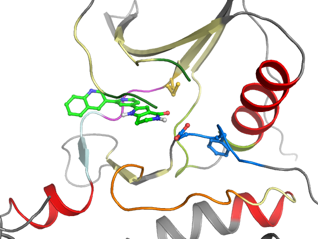 The orthosteric binding pocket
