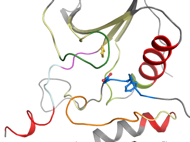 The orthosteric binding pocket