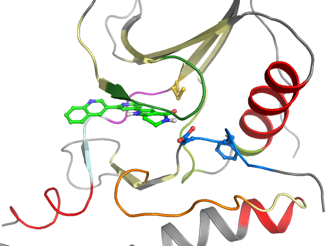 The orthosteric binding pocket