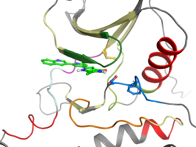 The orthosteric binding pocket