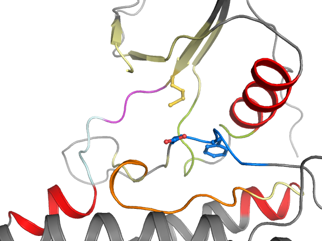 The orthosteric binding pocket