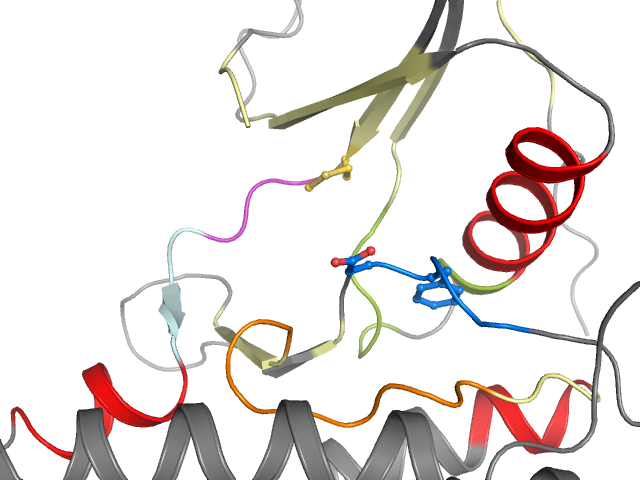 The orthosteric binding pocket