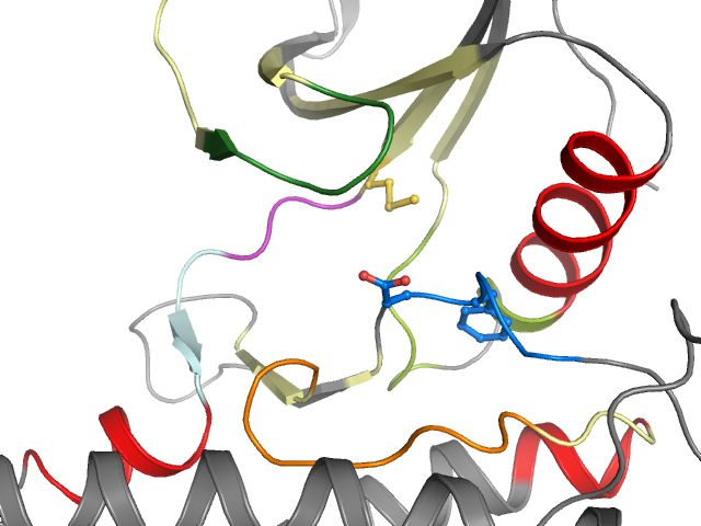 The orthosteric binding pocket