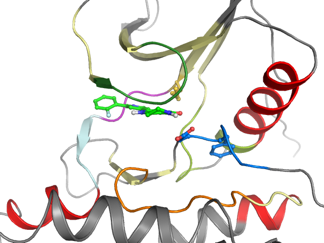 The orthosteric binding pocket