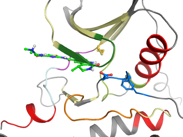 The orthosteric binding pocket