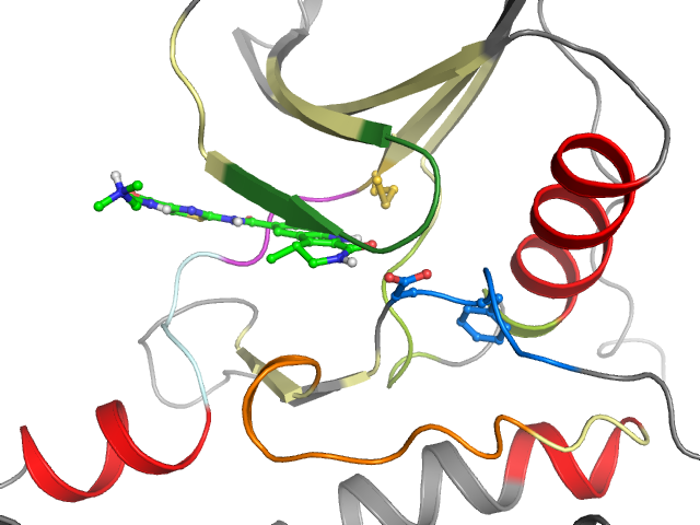 The orthosteric binding pocket