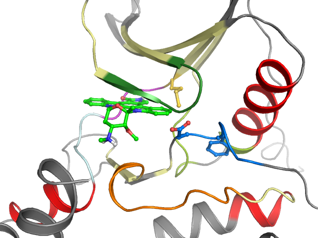 The orthosteric binding pocket