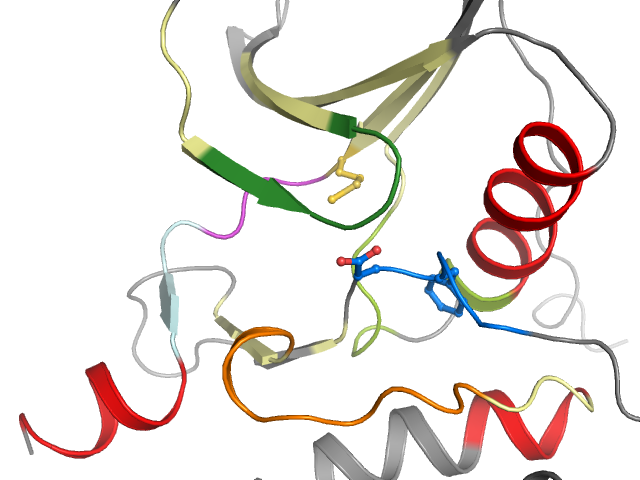 The orthosteric binding pocket