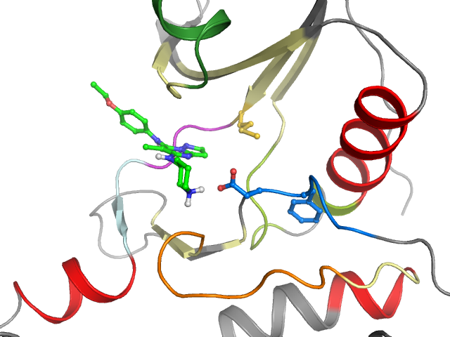 The orthosteric binding pocket
