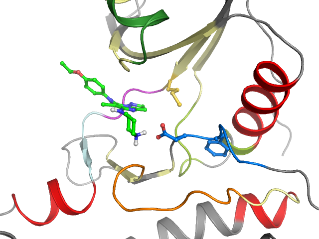 The orthosteric binding pocket