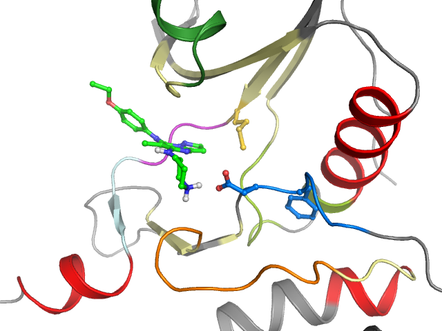 The orthosteric binding pocket