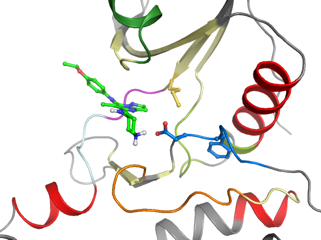 The orthosteric binding pocket