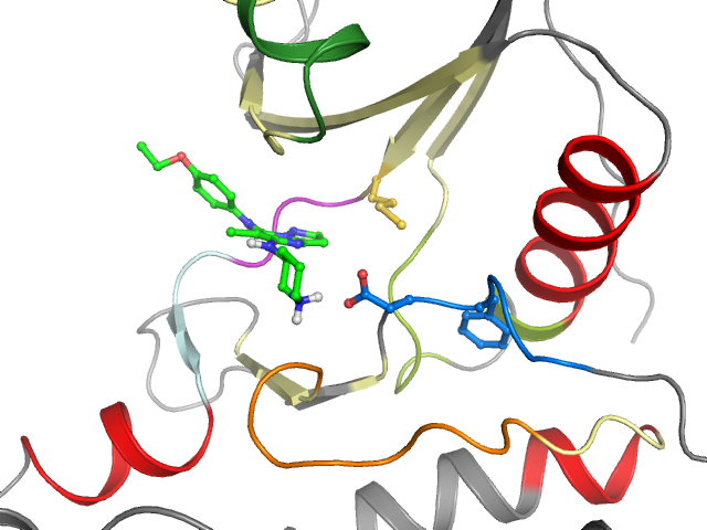 The orthosteric binding pocket
