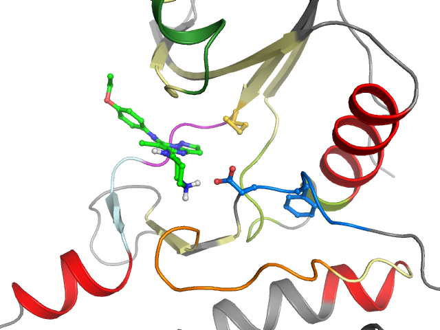 The orthosteric binding pocket