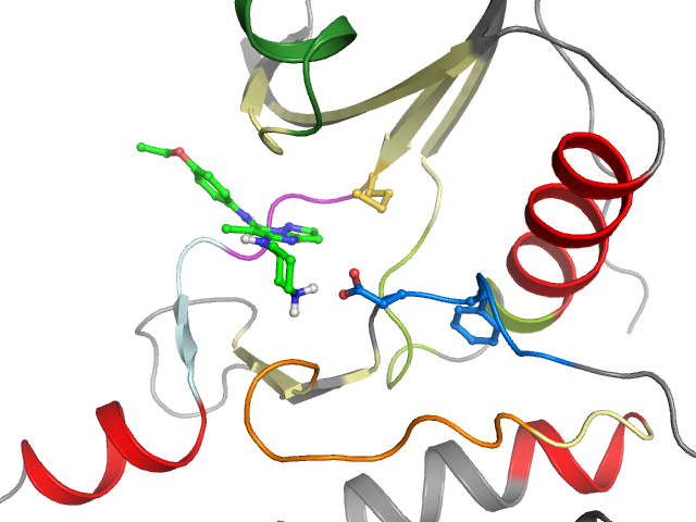 The orthosteric binding pocket