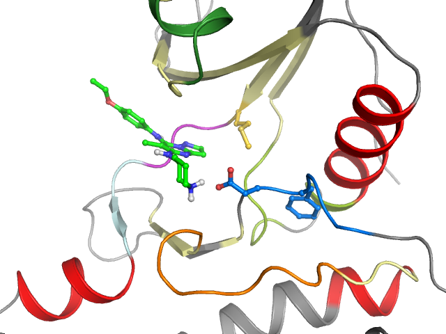 The orthosteric binding pocket