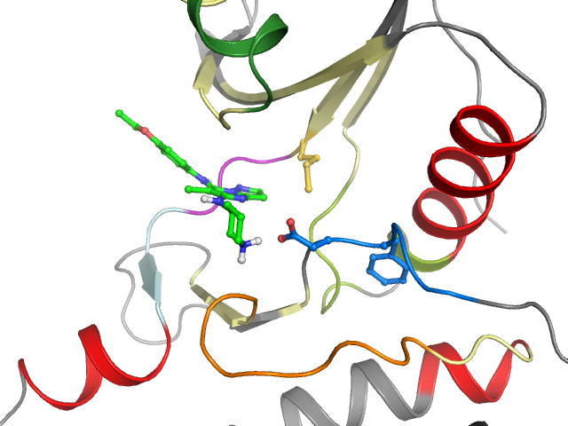The orthosteric binding pocket