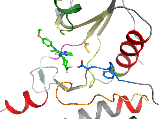 The orthosteric binding pocket