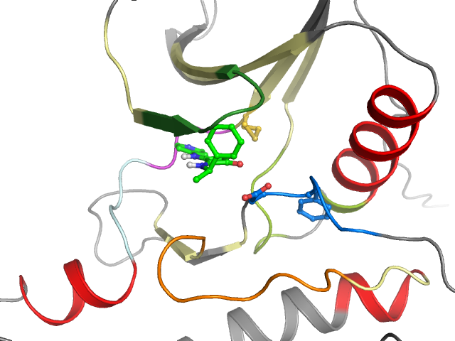 The orthosteric binding pocket