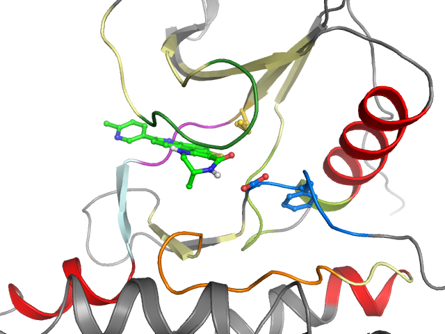 The orthosteric binding pocket