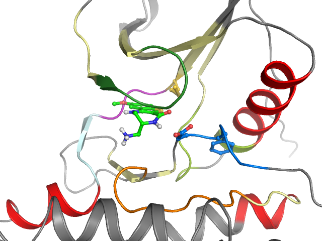 The orthosteric binding pocket