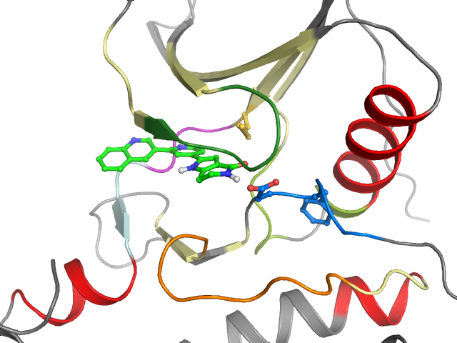 The orthosteric binding pocket