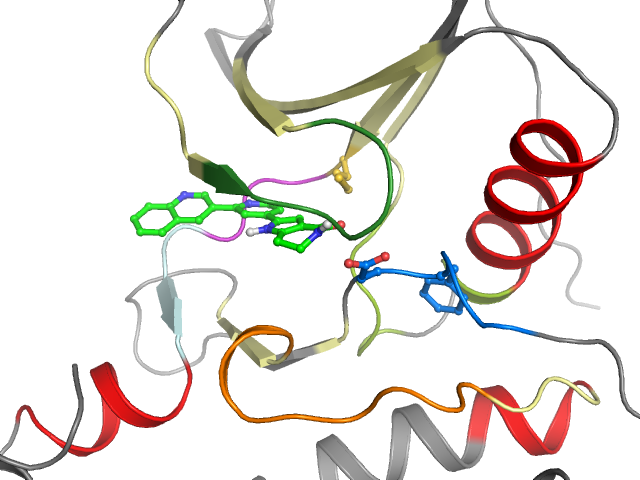 The orthosteric binding pocket