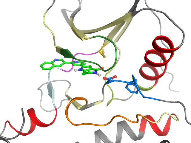 The orthosteric binding pocket