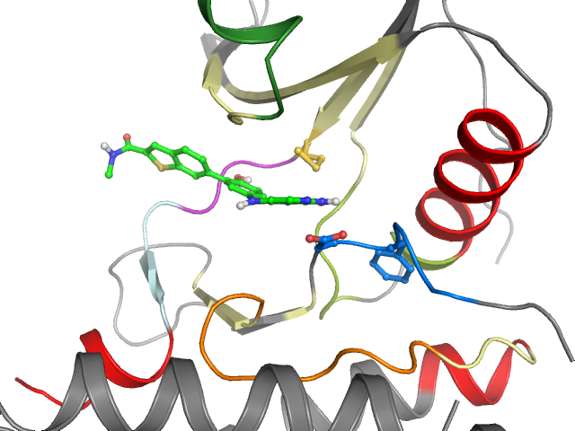 The orthosteric binding pocket