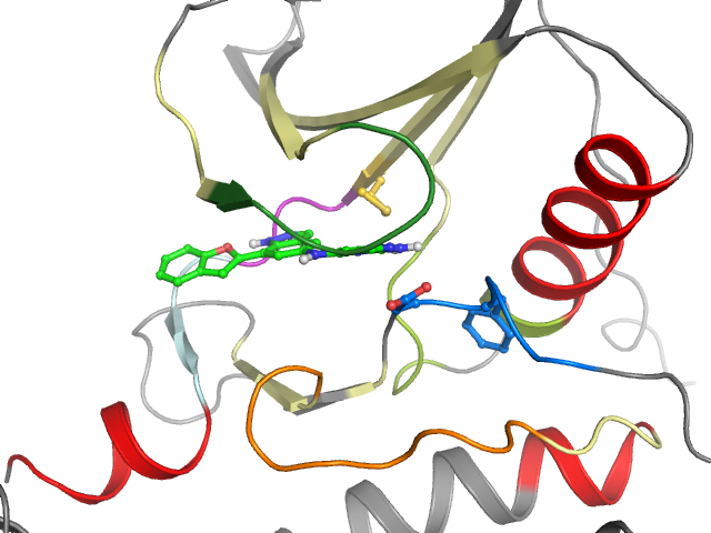 The orthosteric binding pocket