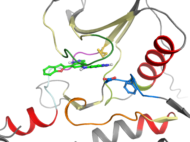 The orthosteric binding pocket