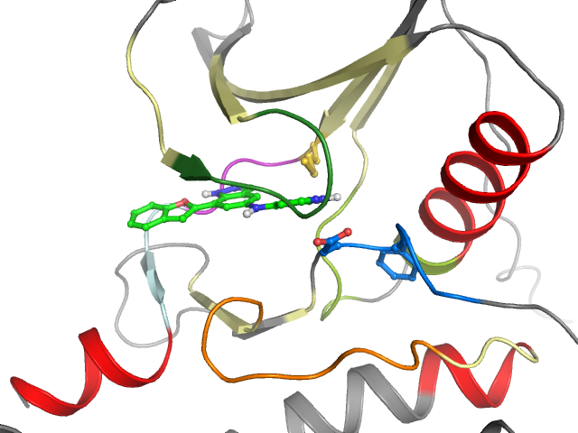 The orthosteric binding pocket