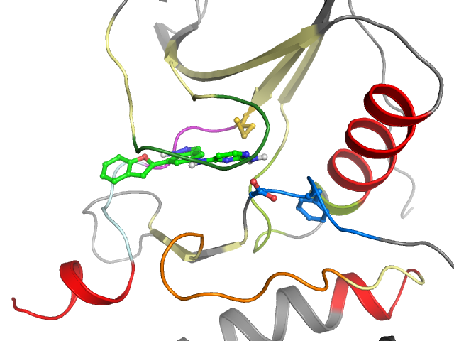 The orthosteric binding pocket