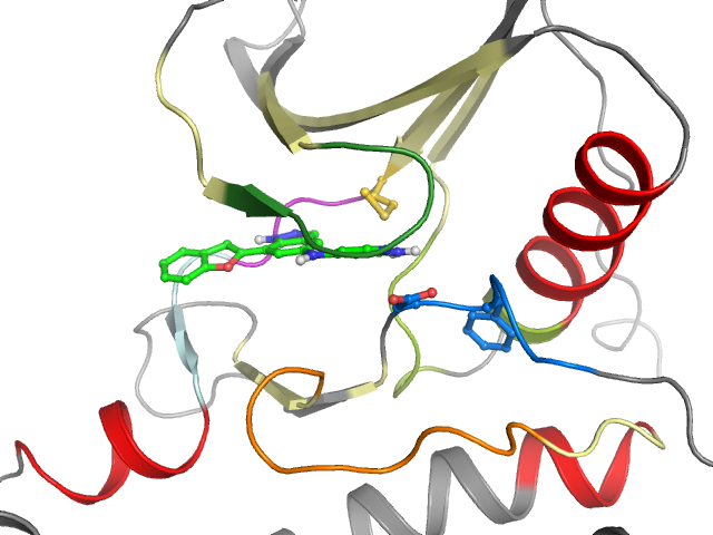 The orthosteric binding pocket