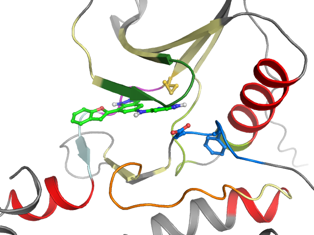 The orthosteric binding pocket