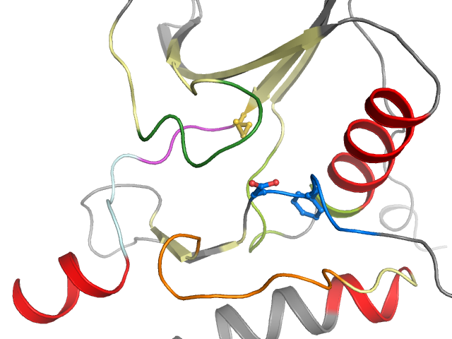 The orthosteric binding pocket