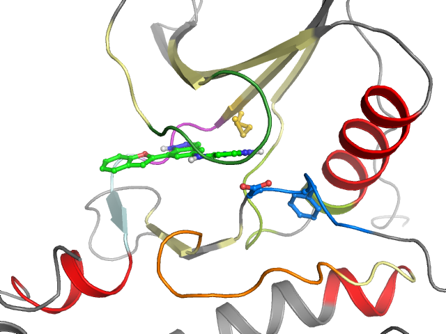 The orthosteric binding pocket