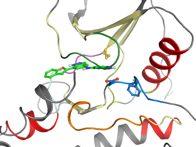 The orthosteric binding pocket