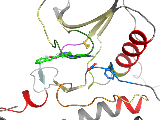 The orthosteric binding pocket