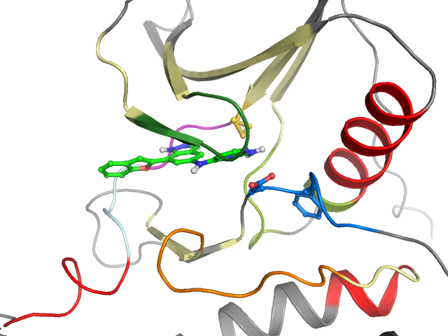 The orthosteric binding pocket