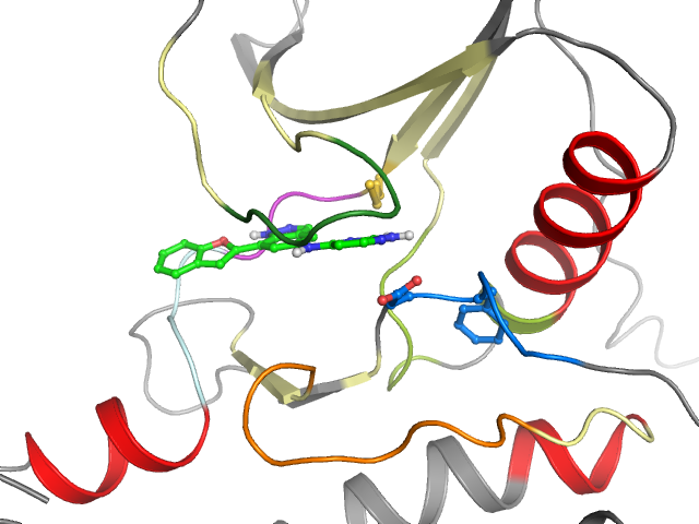 The orthosteric binding pocket