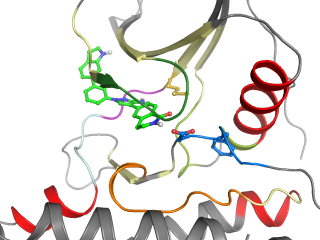 The orthosteric binding pocket