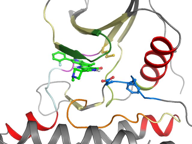 The orthosteric binding pocket