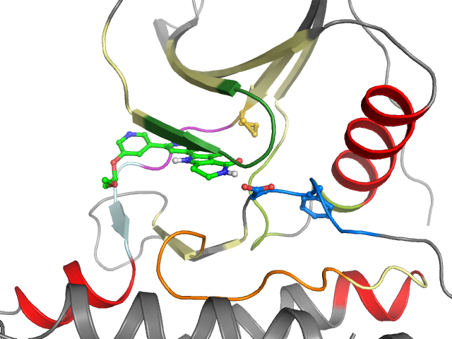 The orthosteric binding pocket